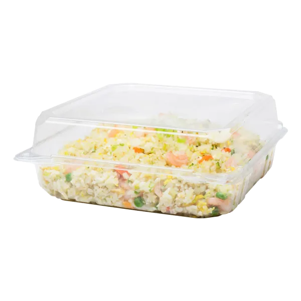 [200 ct] 9'' x 9'' Hinged Food Containers | PET | Clear