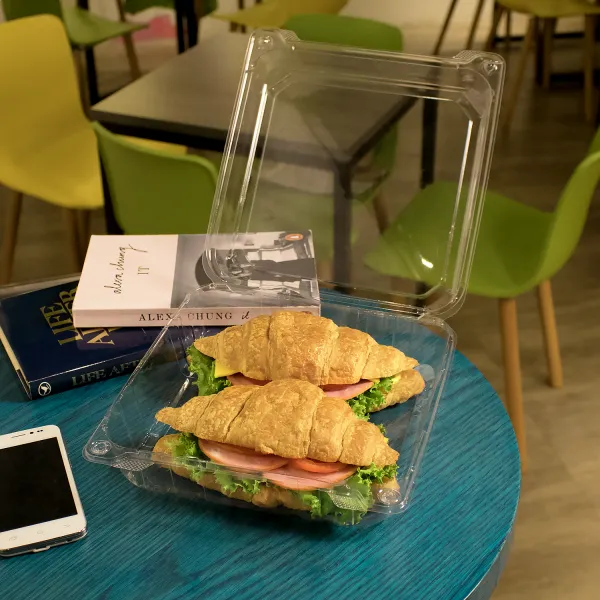 [200 ct] 9'' x 9'' Hinged Food Containers | PET | Clear
