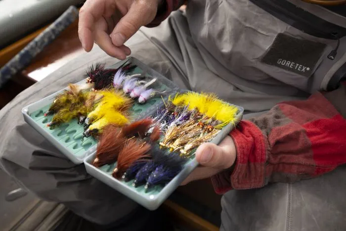 Tacky Big Bug Fly Box 2X