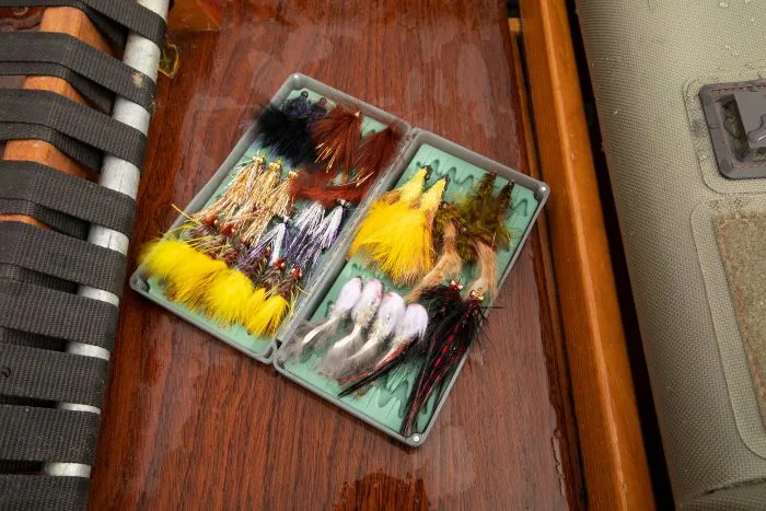 Tacky Big Bug Fly Box 2X